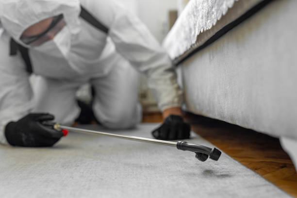 Professional Cockroach Control technician working in Gilman, IL