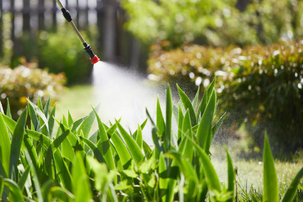 24/7 Emergency Cockroach Control experts in Gilman, IL